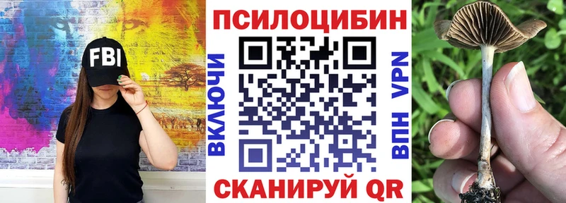 Галлюциногенные грибы Cubensis  что такое наркотик  нарко площадка какой сайт  Макаров 